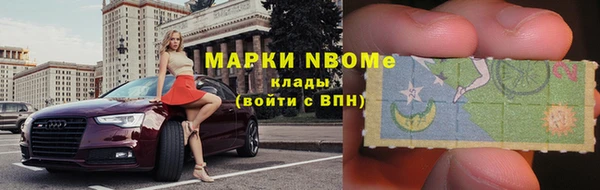 трава Аркадак