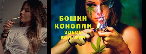 трава Аркадак