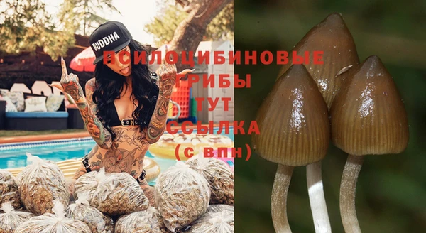 Альфа ПВП Армянск