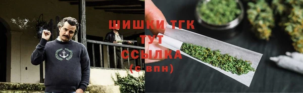 трава Аркадак