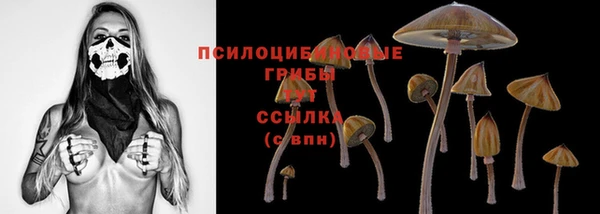 трава Аркадак