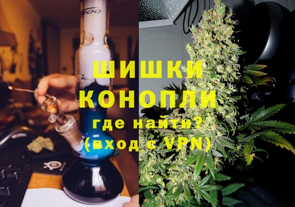 трава Аркадак