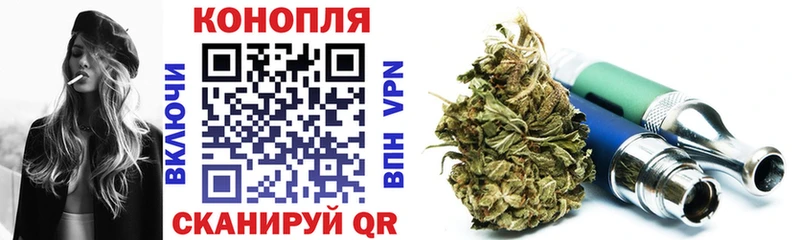 где продают   Осинники  Марихуана сатива 